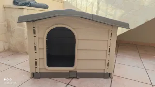 Cuccia per cani taglia media