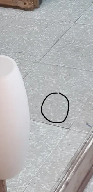 Espejo Plateado con Apliques