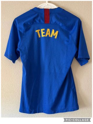 Camiseta FC Barcelona Nike Azul Roja