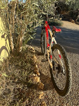 Bicicleta Specialized Rockhopper Pro