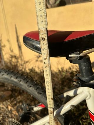 Bicicleta Specialized Rockhopper Pro