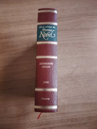 Bajo la rueda, Gertrudis, Rosshalde, Demian