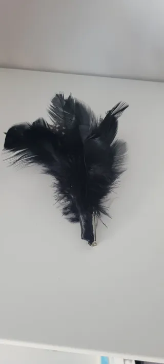 Tocado de plumas negras