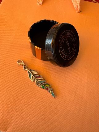 Colgante Pluma Thomas Sabo Multicolor