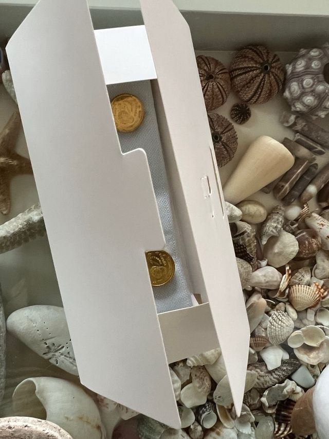 Copribottoni unisex Spagna 1999/2000 Moneta