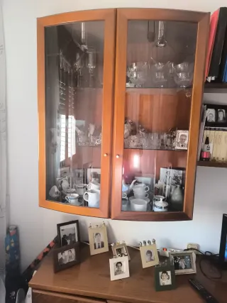 Vitrina de madera y cristal