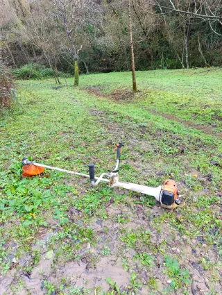 Hago Podas y desbroces.Económico