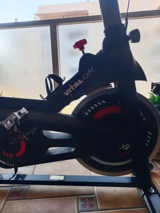 Bicicleta Estática Vital Gym