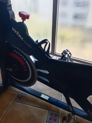 Bicicleta Estática Vital Gym