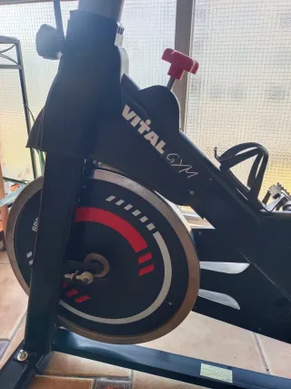 Bicicleta Estática Vital Gym