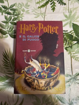 Harry Potter e il calice di fuoco
