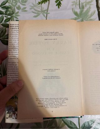 Harry Potter e il calice di fuoco