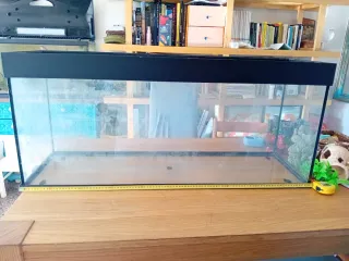 Urna Acuario Pecera Terrario Tortuguera 1m