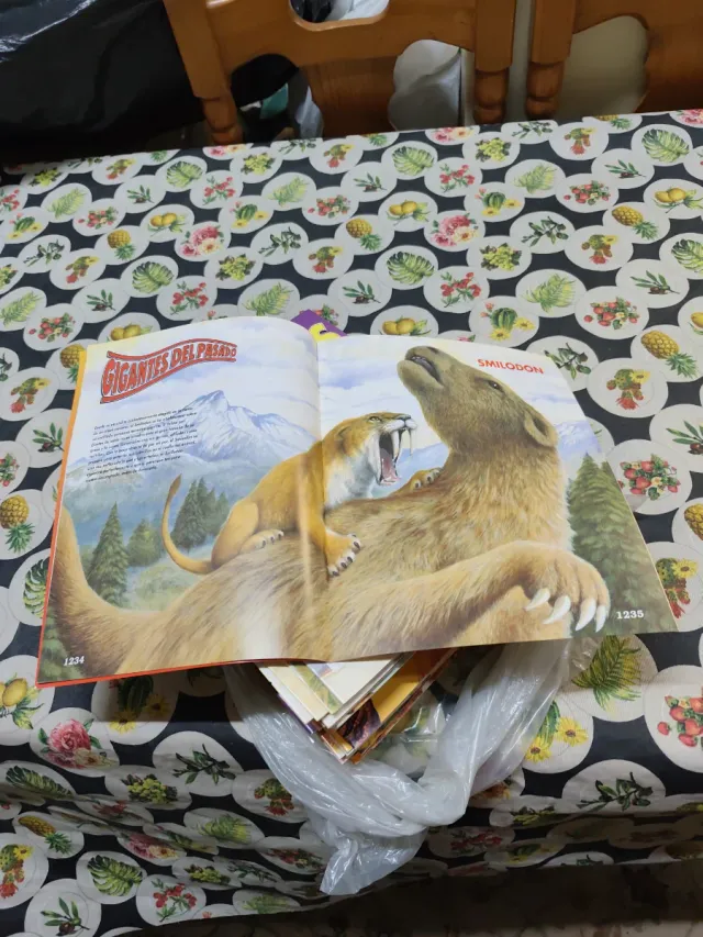 Fascículos de Dinosaurios (Colección)