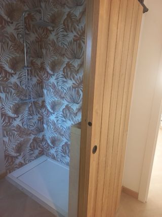 REFORMAS Y MANTENIMIENTO –PROFESIONAL DE CONFIANZA