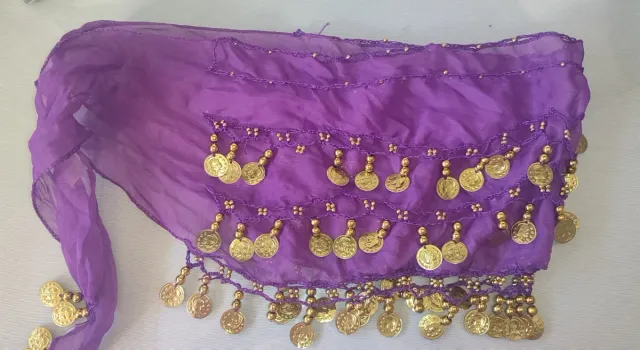 Falda de danza morada con monedas