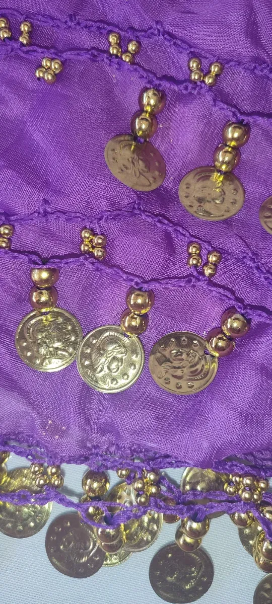 Falda de danza morada con monedas