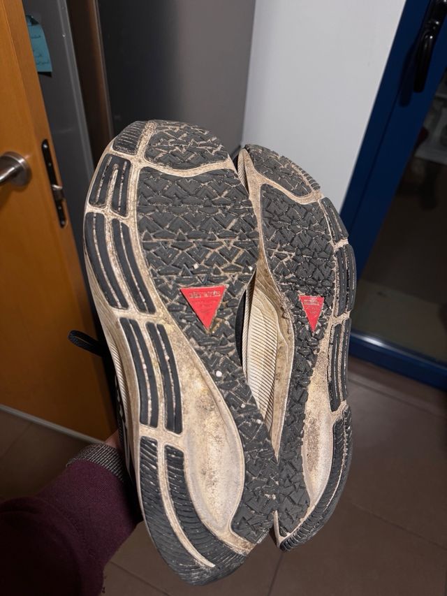 Nike Pegasus 38 Shield Negro