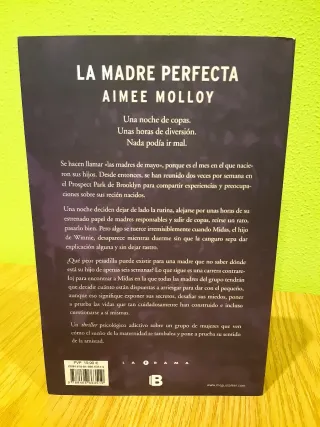 Novela negra La madre perfecta-Aimee Molloy