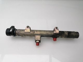 RAMPA INYECTORA AUDI A8 (4E2) (3)