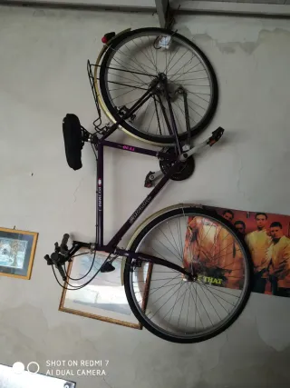 Bicicletta Specialized violaataka country