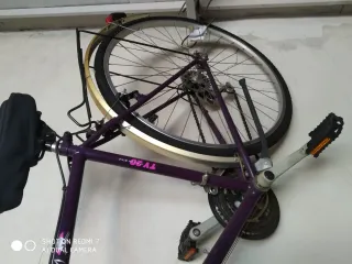 Bicicletta Specialized violaataka country