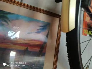 Bicicletta Specialized violaataka country