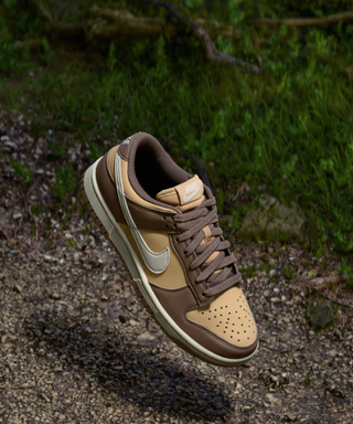 Zapatilla Nike Dunk Marrón Talla 43