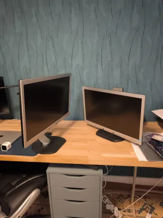 Juego 2 Monitores Philips Plata