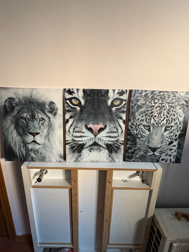 3 Cuadros Animales Salvajes en blanco y negro
