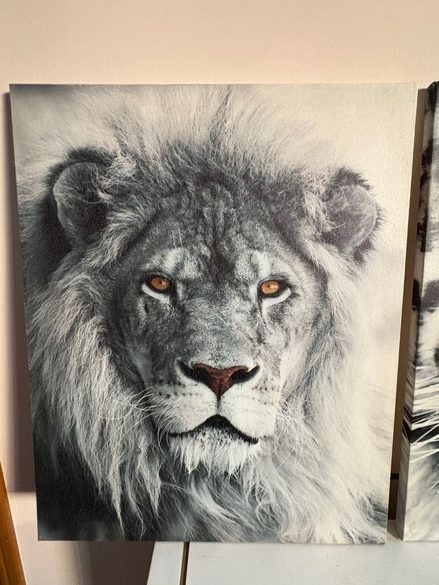 3 Cuadros Animales Salvajes en blanco y negro