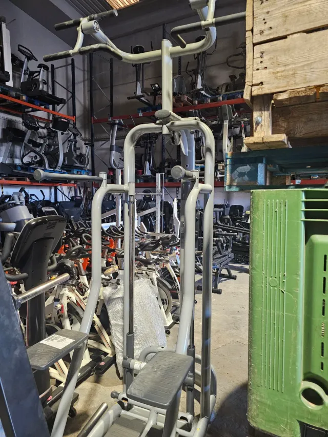 Máquina de dominadas y fondos Tecnogym