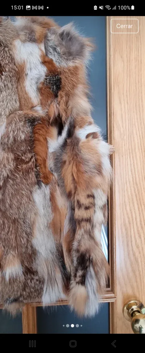 Chaleco pelo zo rro sfera