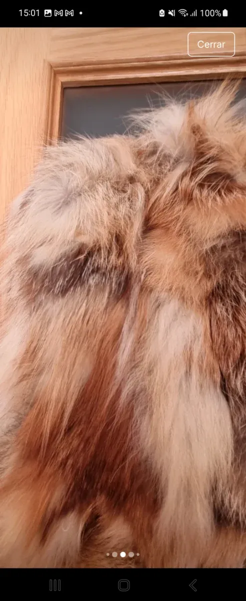 Chaleco pelo zo rro sfera