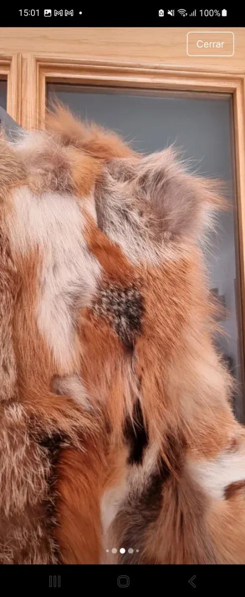 Chaleco pelo zo rro sfera