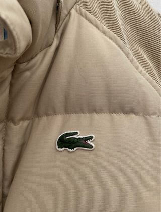 Cazadora acolchada Lacoste Beige. Mangas en pana