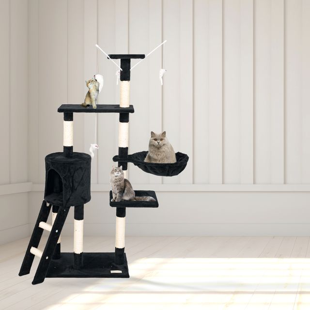 Albero gratta gatti NENI nero 2u