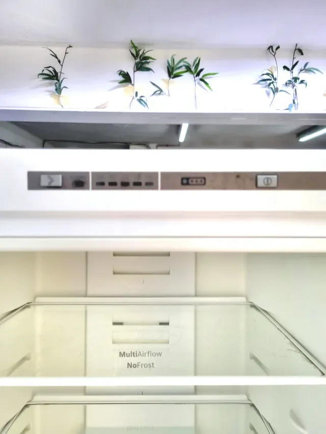 NEVERA BOSCH GARANTÍA 6 MES TRANSPORTE GRATIS