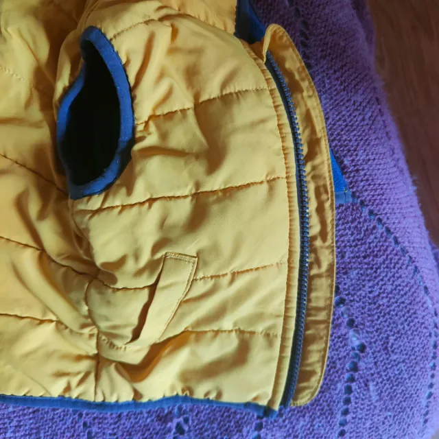 Gilet bimbo giallo con cane 68-74cm