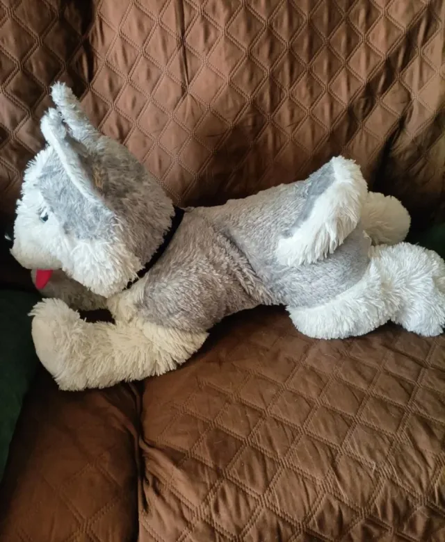Peluche perro hascky