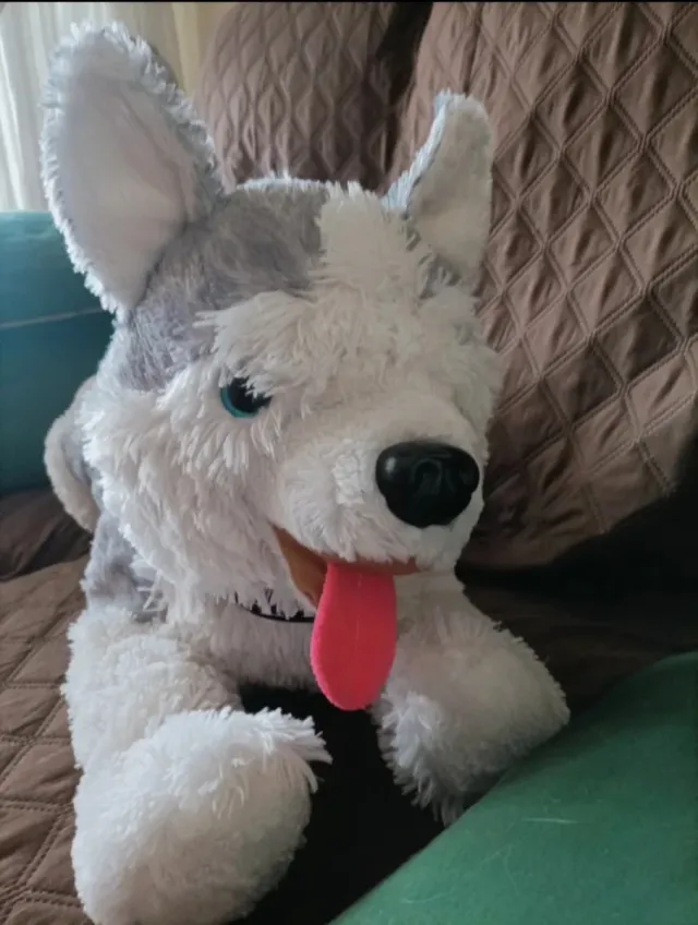 Peluche perro hascky