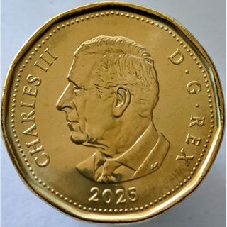 CANADA MONEDA 1 DOLAR 2025