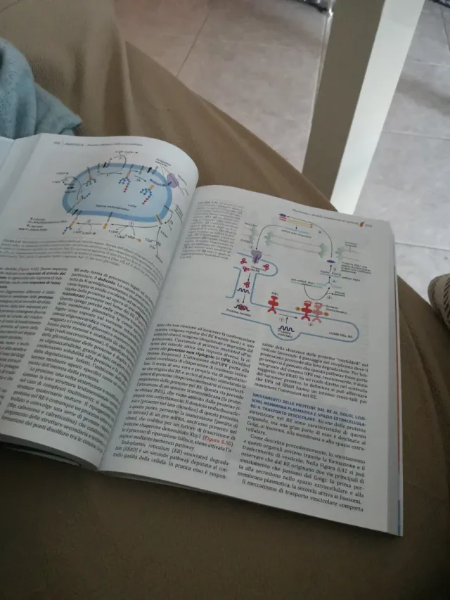 Biologia e Genetica. Manuale completo per il se...