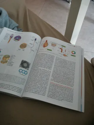 Biologia e Genetica. Manuale completo per il se...
