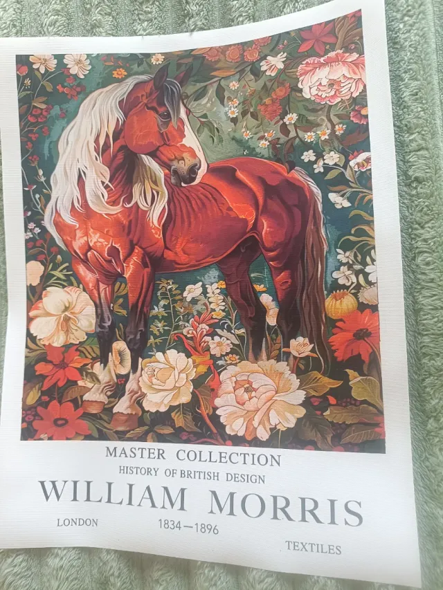 Stampa tela cavallo bianco fiori rossi