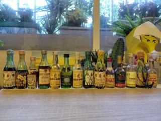 Bottiglie Miniatura Collezione Varia