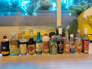 Bottiglie Miniatura Collezione Varia