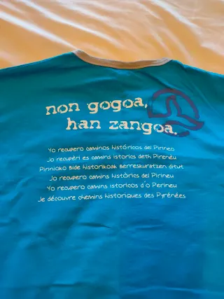 Camiseta Ternua Pyrène 2006 Talla L