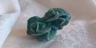 Rosa del deserto colorata