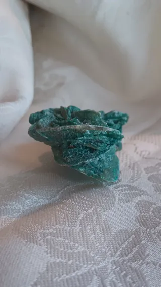 Rosa del deserto colorata